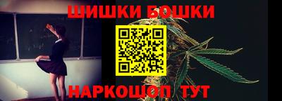 индика Сланцы