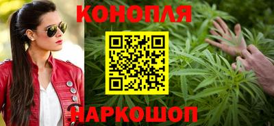 индика Сланцы