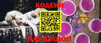 индика Сланцы