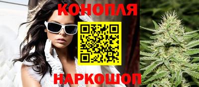 индика Сланцы