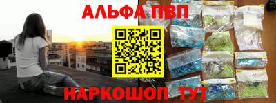 индика Сланцы