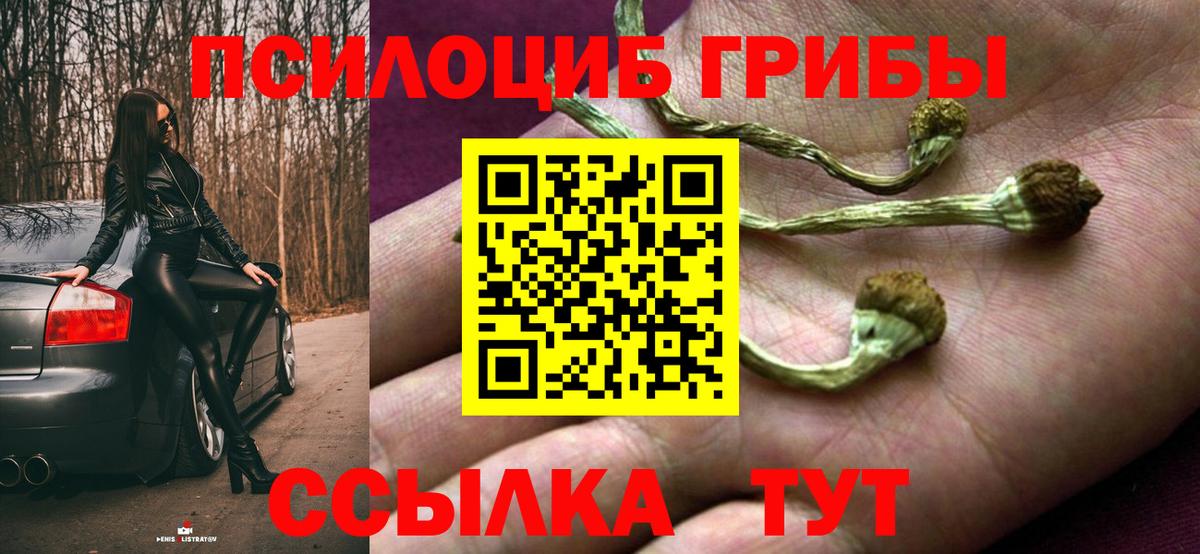 Жуковский  Псилоцибиновые грибы Psilocybe  Галлюциногенные грибы Psilocybe  Вход с VPN 